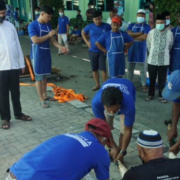 Universitas Medan Area Sembelih 28 Hewan Qurban Pada Perayaan Idul Adha