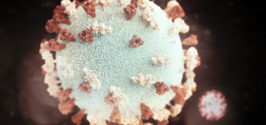 Pengaruh Infeksi Ragi