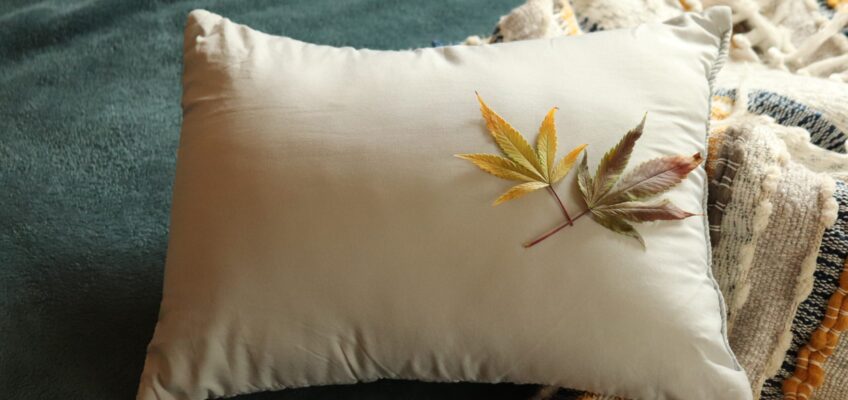 Penyakit susah tidur