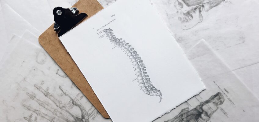 apa itu Chiropractic